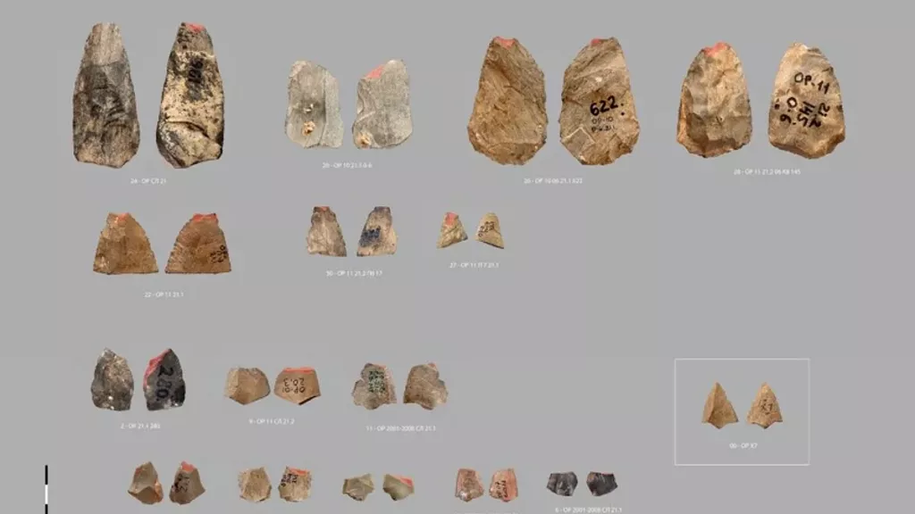 80 bin yıllık sır: Neandertaller ok kullanmış olabilir