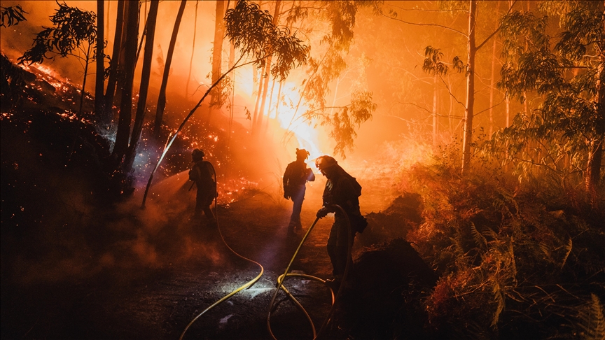 Avrupa Birliği ülkelerinde orman yangınlarındaki kayıp bu yıl bir milyon hektarı aştı