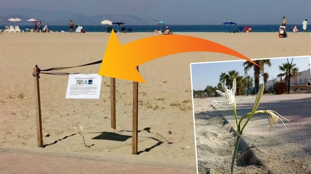 1980'lerde görülüyordu...