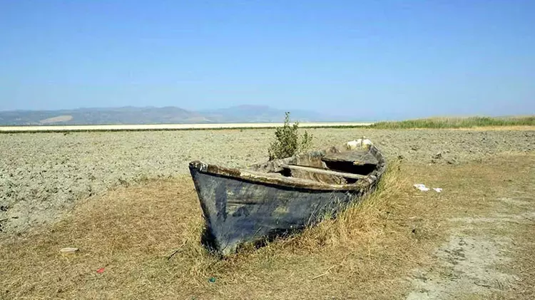 Prof. Dr. Şimşek: 240 gölden 186'sı kurudu