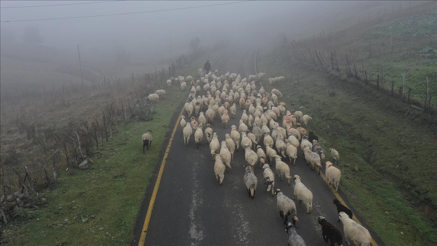 Sisler altındaki Karadeniz yaylalarından dönüş yolculuğu başladı
