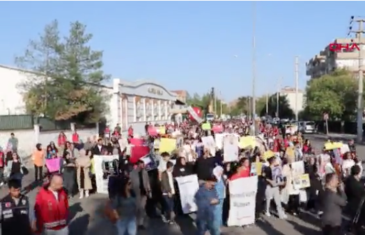 Rojin Kabaiş için adalet yürüyüşü