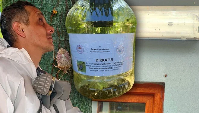 İstanbul'da yayılmaya başladı, yetkililer harekete geçti