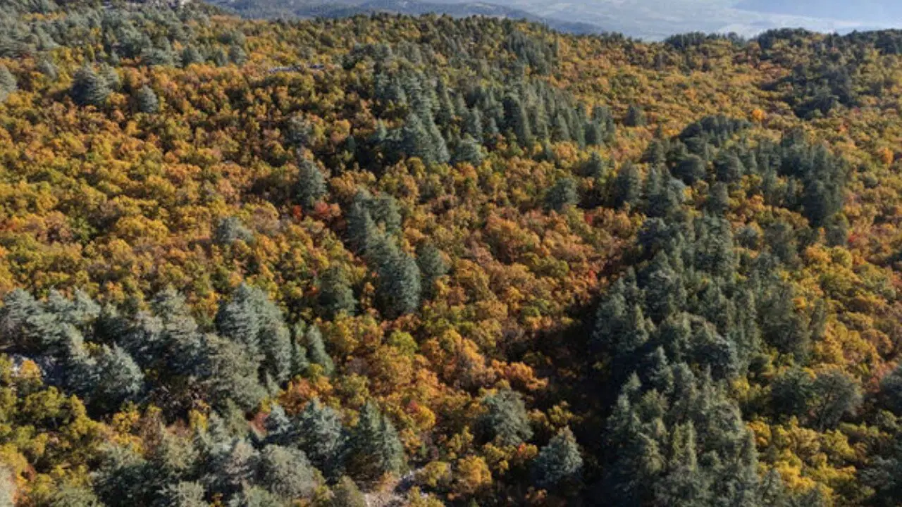 Dünyada sadece Isparta'da: İzinsiz girmenin cezası 557 bin TL