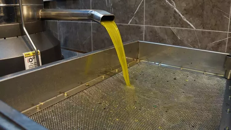 Aydın’da düşük rekolte nedeniyle zeytinyağı fiyatlarında rekor artış yaşandı.