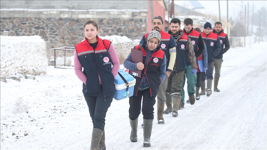 Kars'ta veteriner hekimler, hayvanların sağlığı için çetin kış koşullarında sahada