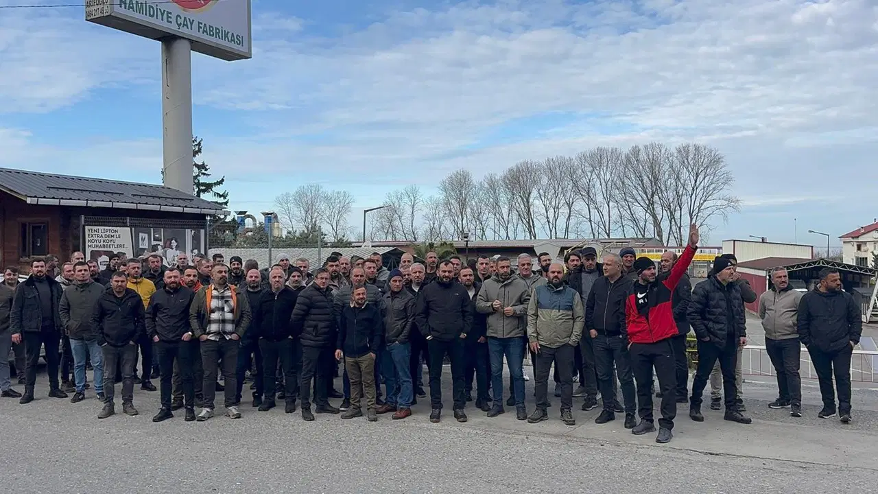 Rize'de çay fabrikası satıldı, yüzlerce işçi işten çıkarıldı