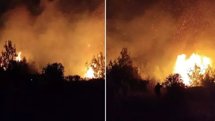 Antalya'da orman yangını
