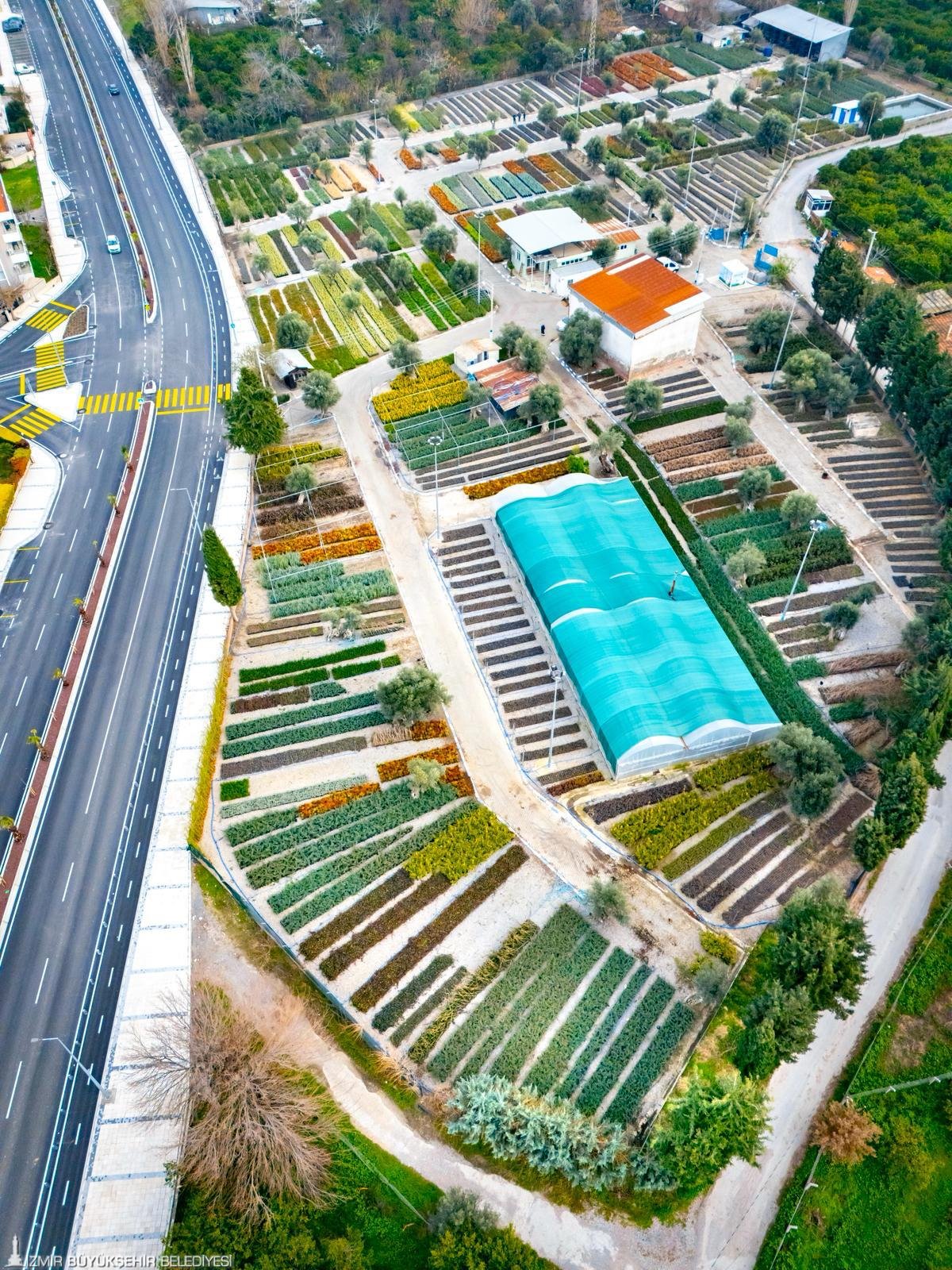 İzmir’in renkleri Büyükşehir fidanlıklarında filizleniyor