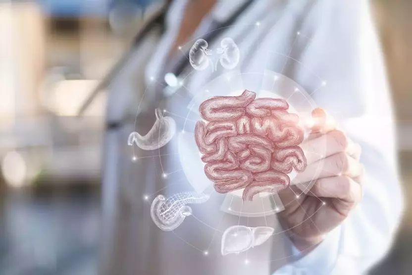 11 Binden Fazla Örnek İncelendi! Bağırsakların Gizli Kahramanı