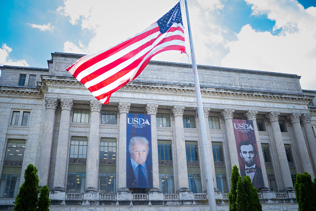 ABD yetkilileri, ormansızlaşma yasasına karşı lobi yapmak için AB başkentlerini ziyaret ediyor