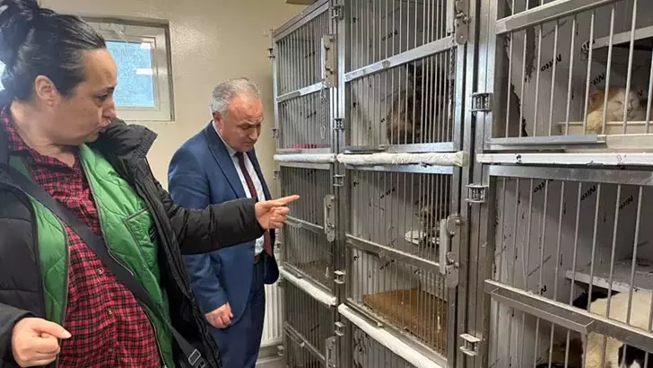 Ankara'da kötü şartlarda tutulan 102 hayvana el konuldu