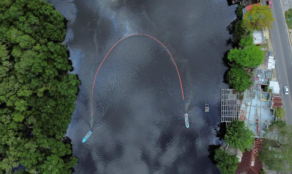 Saç ve petrol: Meksika Körfezi’ndeki sızıntıdan etkilenen plajları temizlemek için ilginç yöntem