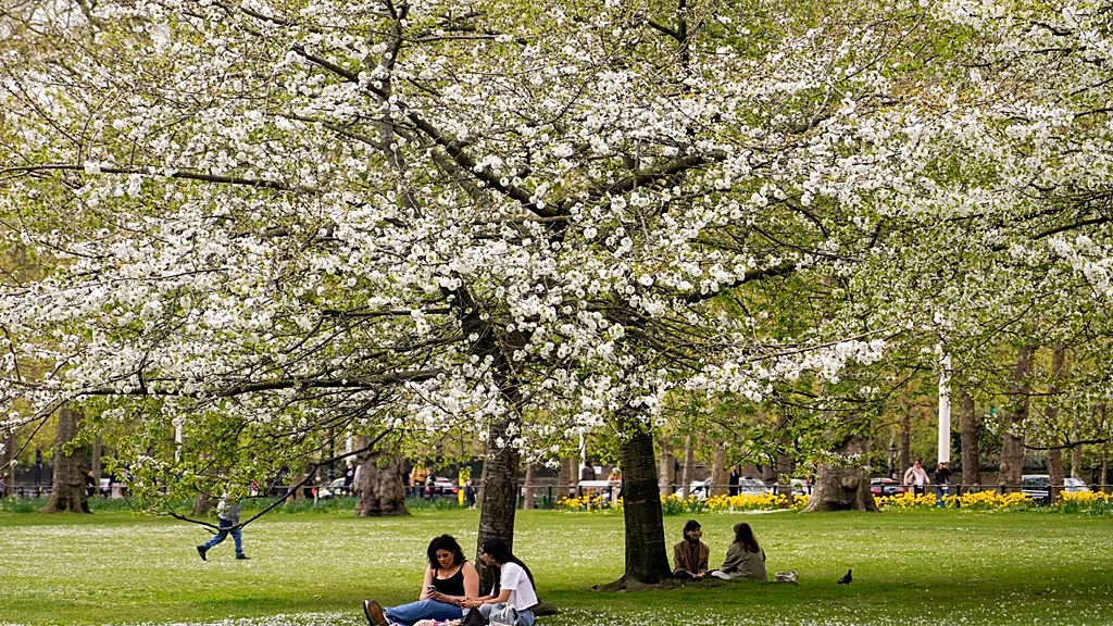 Polen mevsimi uzadı: Alerjiden nasıl korunmalı?