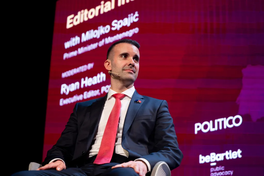 Başbakan Spajić: Karadağ, güvenlik için AB’ye katılmak istiyor