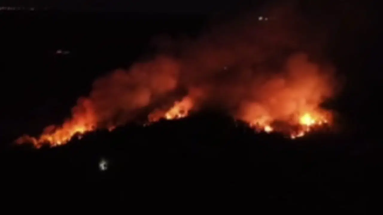 Beykoz'daki yangın 7. saatinde: Söndürme çalışmaları devam ediyor
