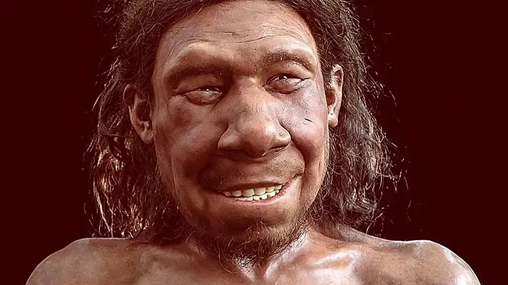 Yeni araştırma ezberi bozuyor: 'Neandertaller de biz gibiydi'