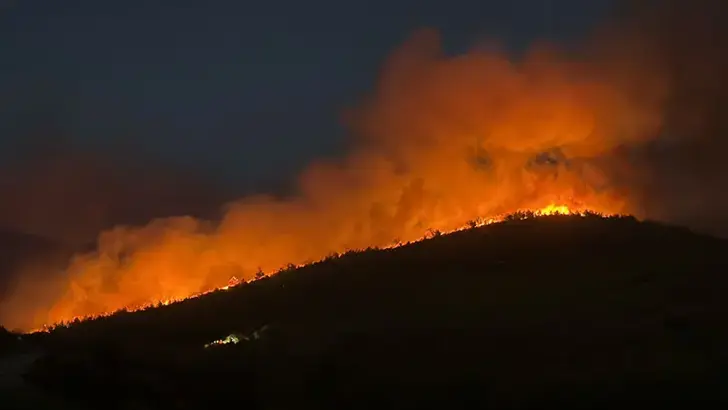 Milas'ta orman yangını
