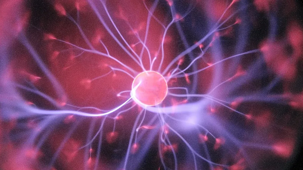 Bilim insanları kafatasında gizlenmiş yeni bir organ keşfetti