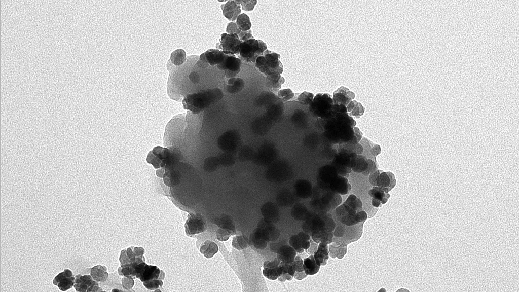 Sudaki nanoplastikleri yakalayan manyetik nanoçiçekler geliştirildi