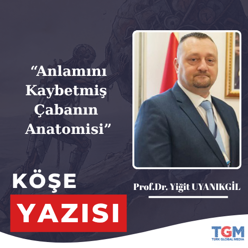 Anlamını Kaybetmiş Çabanın Anatomisi