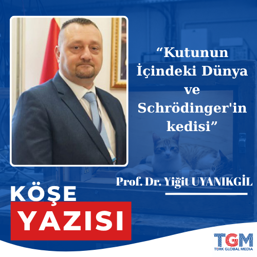 Kutunun İçindeki Dünya ve Schrödinger'in kedisi